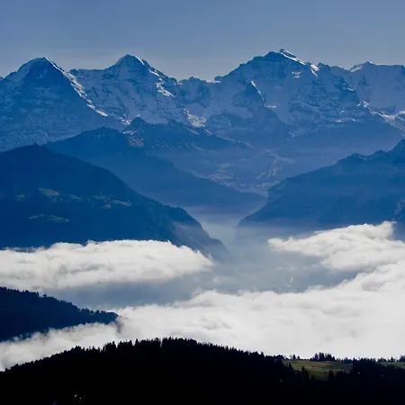 Hotel Fassbind Beausite