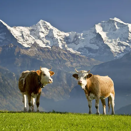 Fassbind Beausite فندق 3*