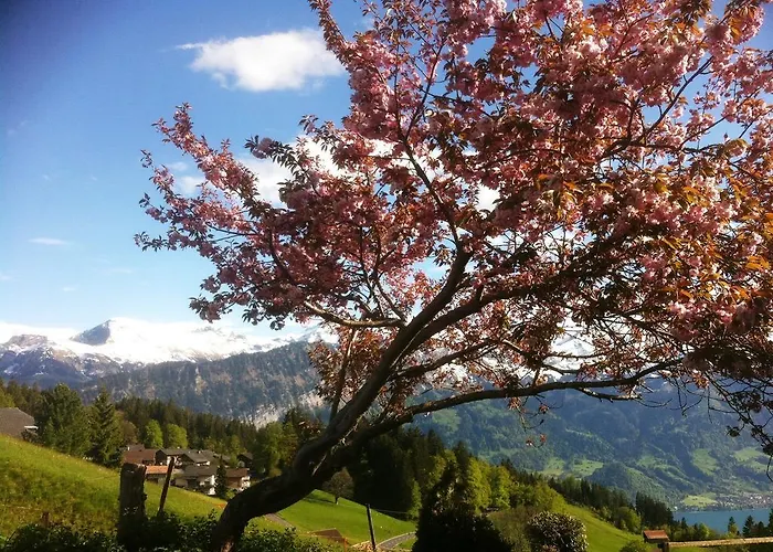 Hotel Fassbind Beausite 3*