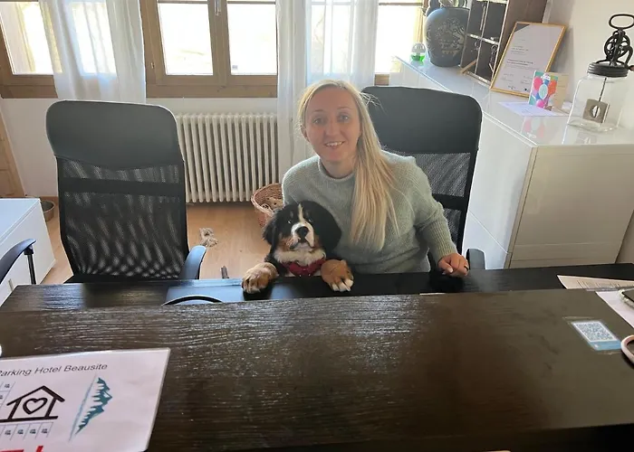 Hotel Hotel Fassbind Beausite