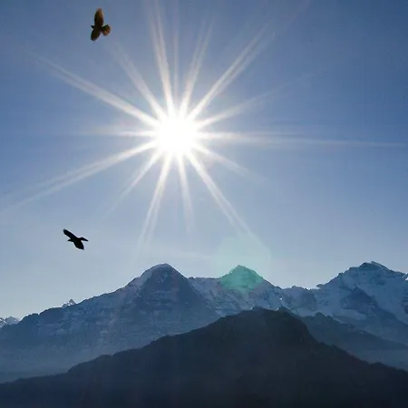 Fassbind Beausite 贝阿滕贝格