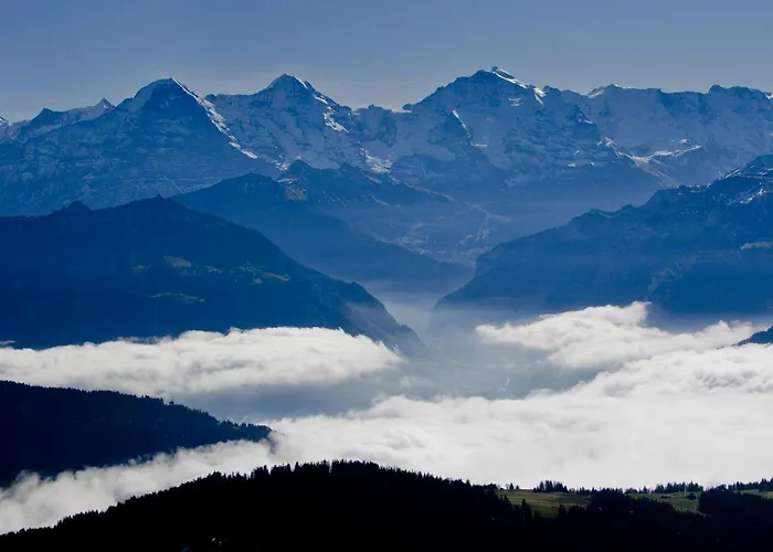 Hotel Hotel Fassbind Beausite