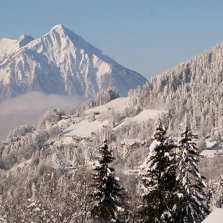 Hotel Fassbind Beausite 3* Beatenberg