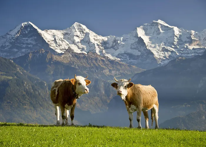 Fassbind Beausite Hotel 3*